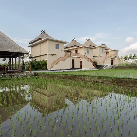 Manyi Village Ubud