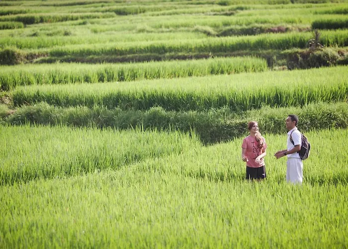 Manyi Village 3* Ubud