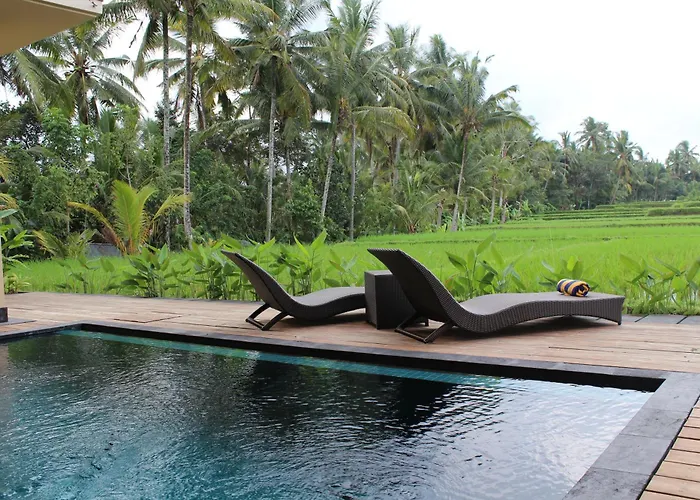 Manyi Village Hotel Ubud