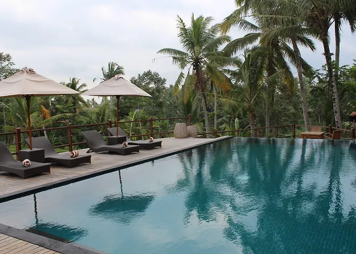 Hotel Manyi Village 3*