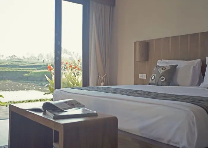 Manyi Village 3*
