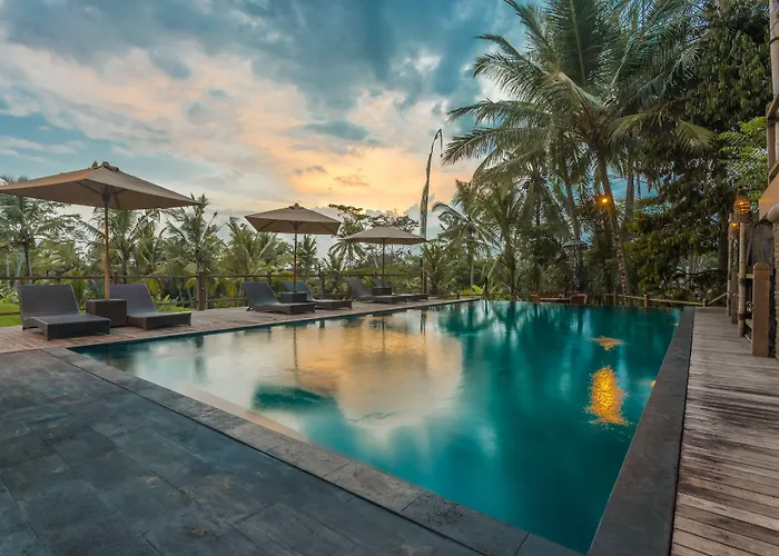 Manyi Village 3*