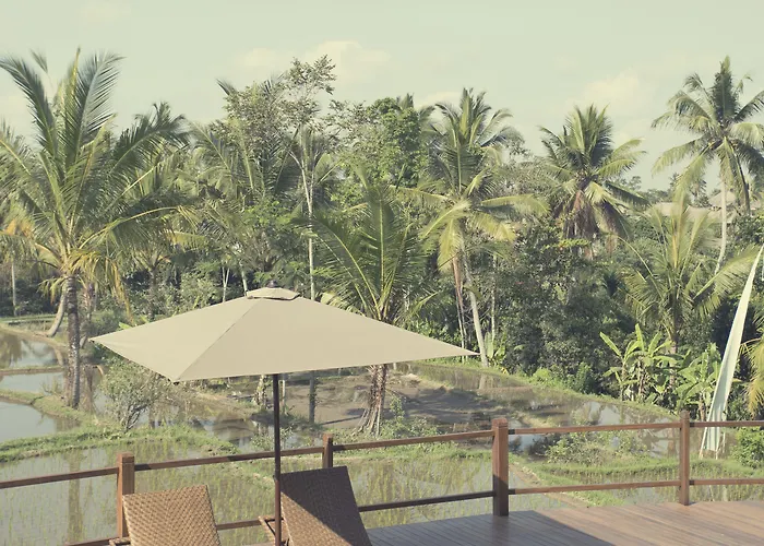 Manyi Village Hotel Ubud