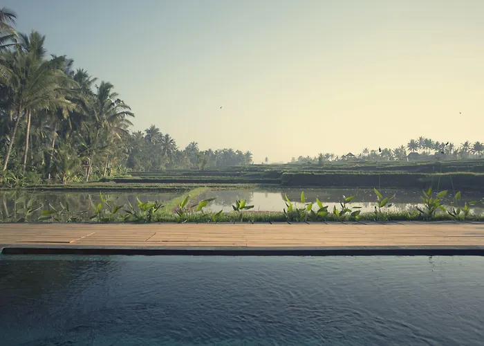 Hotel Manyi Village
