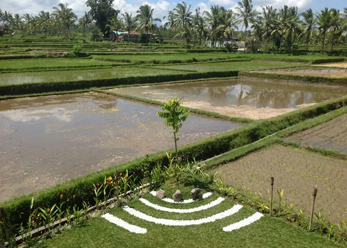 Manyi Village Ubud