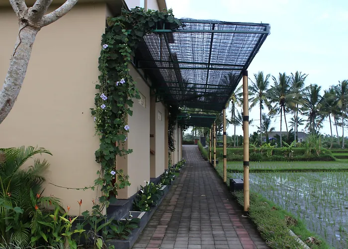 Hotel Manyi Village 3*