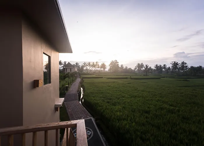 Hotel Manyi Village 3*