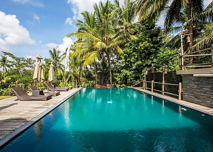 Manyi Village 3*