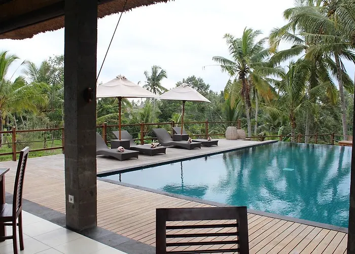 Manyi Village 3*